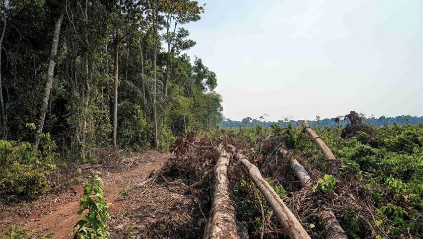 Leather Is Out of the EU Deforestation Regulation. Here Is What Changed and What Comes Next.