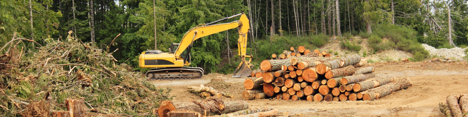 Public Comment Opportunity Open on EU Deforestation Regulation
