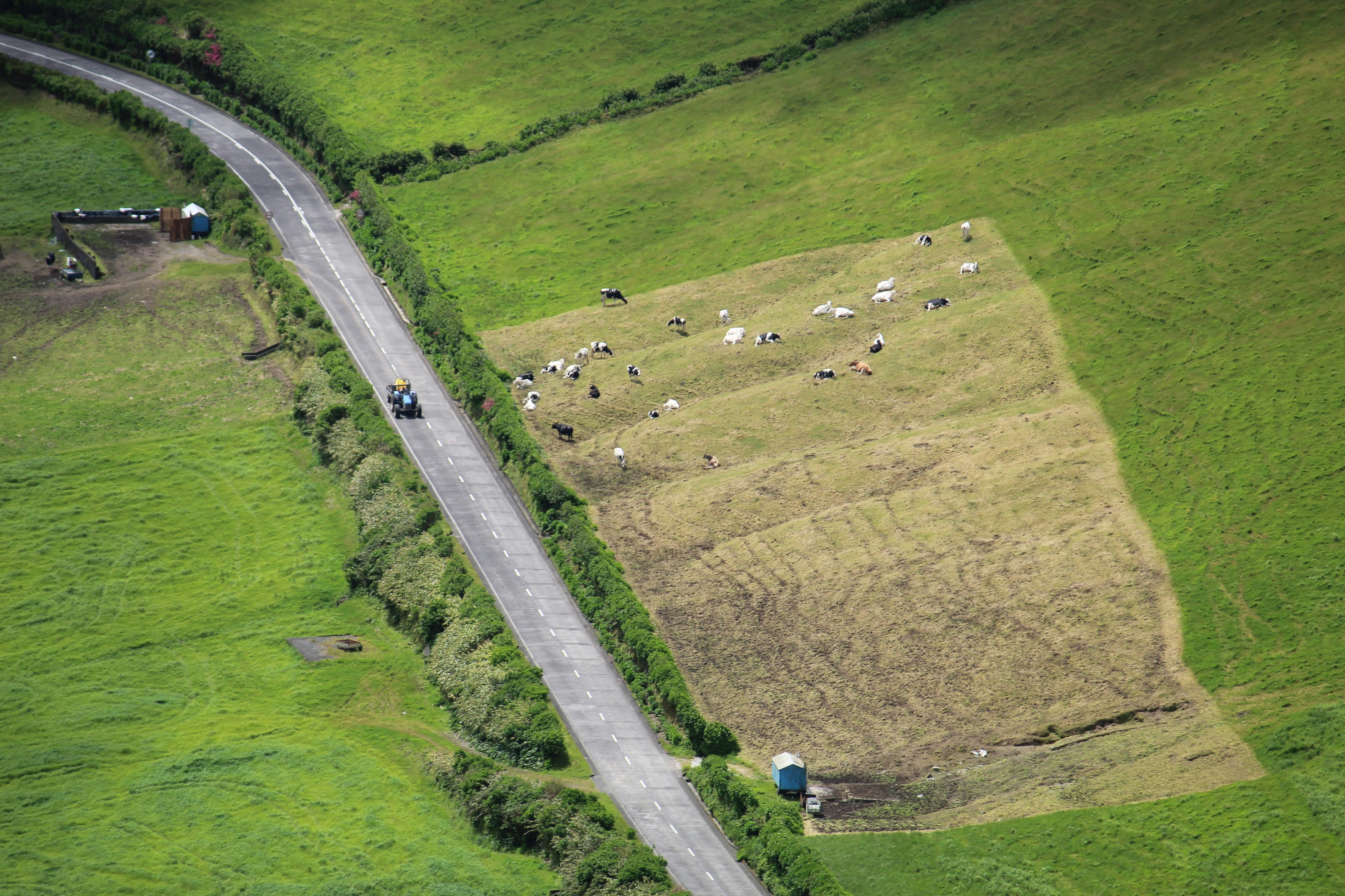 Century of Service: The Leather Research Laboratory's Role in American Industry