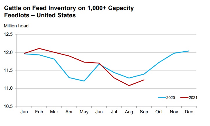 cattle_on_feed_september_2021